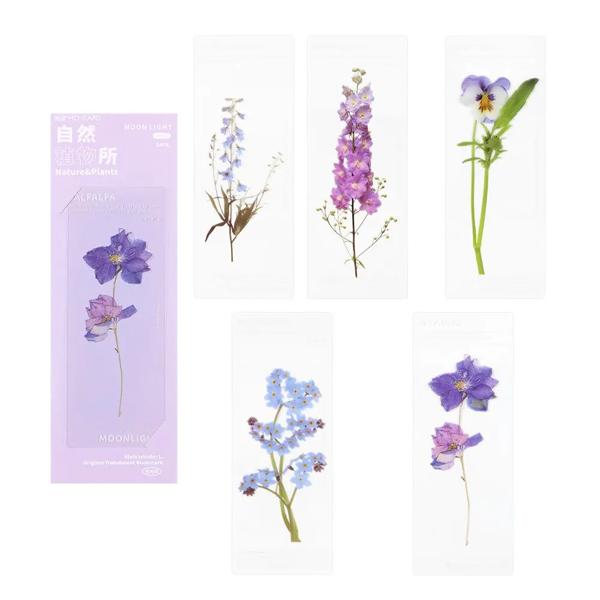 5ピース/セット天然植物の花と葉のしおり,PVC,半透明,ブックマーク,マーカー,文房具,ギフト 100% 新品、高品質。 種類: 天然植物のしおり素材: ペットパッケージ寸法: 6.5*20cm/2